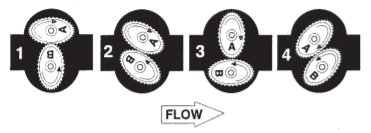 Image for Product-Catalog document